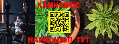 шишки Нарткала