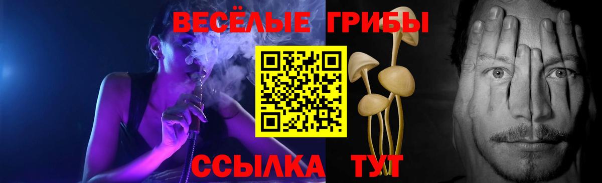 Псилоцибиновые грибы MAGIC MUSHROOMS Волжский